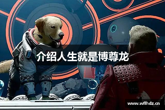 介绍人生就是博尊龙